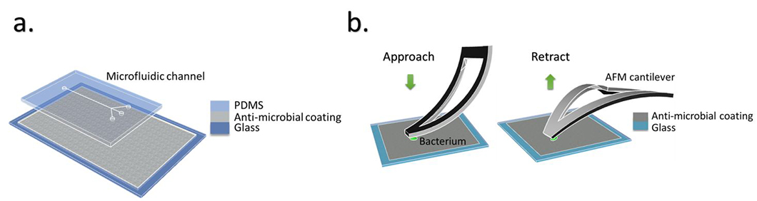 Schematic representation of a microfluidic device 