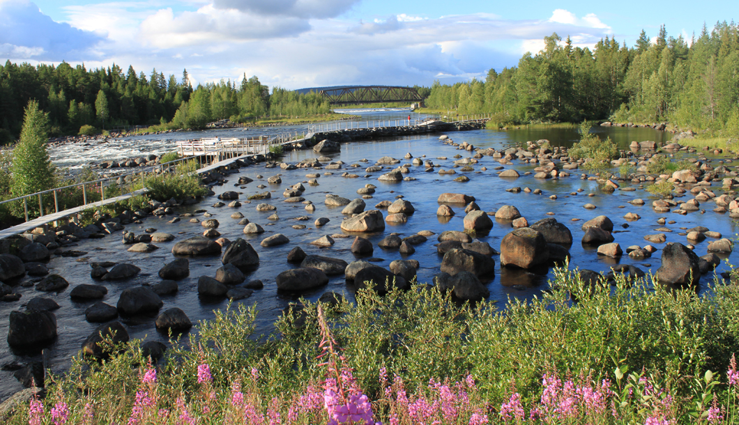 BAM Ausbildung & Praktika Abenteuer Ausland