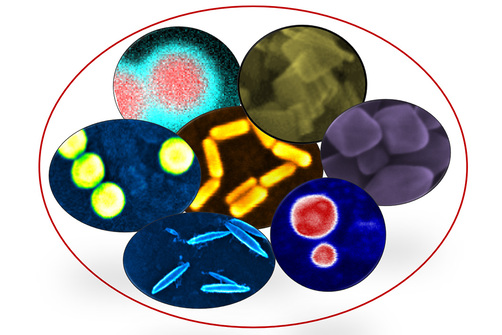 Grafik zur Charakterisierung von Advanced Materials Grafik zur Charakterisierung von Advanced Materials