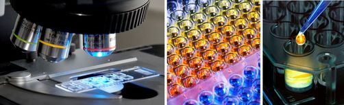 Detailfotos zu Analytical Sciences Detailfotos zu Analytical Sciences