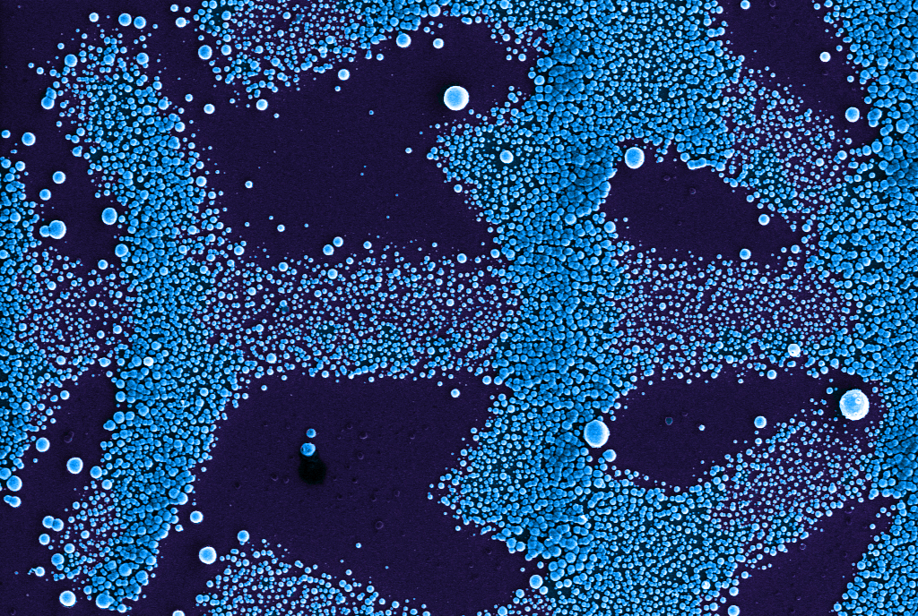 Mikromusterung von Polydopamin Mikromusterung von Polydopamin