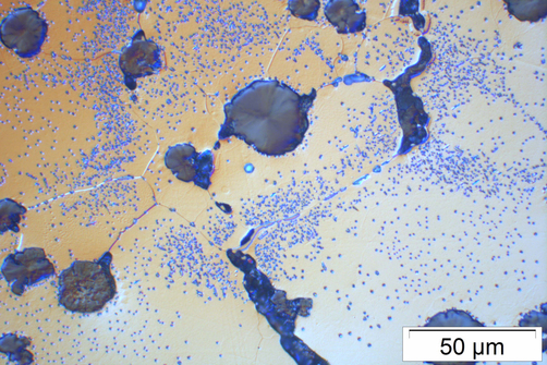 Die mikroskopische Aufnahme einer Probe nach einer Kriechbelastung (900 °C, Spannung 15 MPa) zeigt Entstehung von Werkstoffschädigung an Graphitkugeln und Korngrenzen