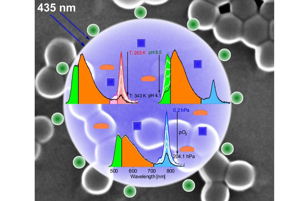 Grafik: TOP-Nanosensor, bestehend aus NIR-emissivem Chrom-(III)-Komplex, pH-Indikator und Referenzfarbstoff in einem 100 nm Partikel Grafik: TOP-Nanosensor, bestehend aus NIR-emissivem Chrom-(III)-Komplex, pH-Indikator und Referenzfarbstoff in einem 100 nm Partikel