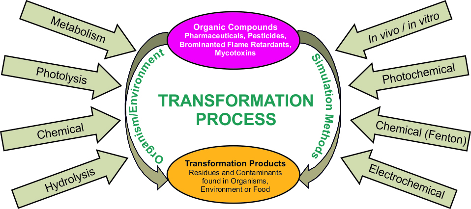 Grafik zu Transformationsprozessen