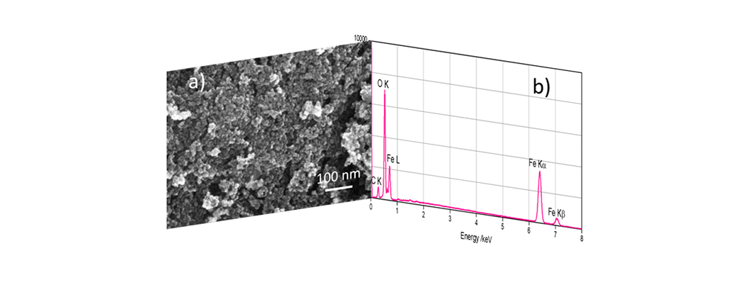 a) REM-Aufnahme des Nanokomposit-Materials; b) entsprechendes Röntgenspektrum mit den Hauptelementen Fe, O und C