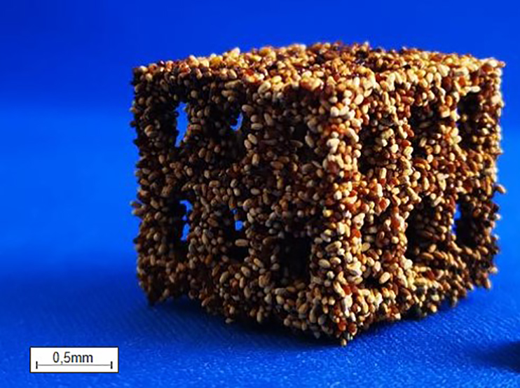3D gedruckter Testkörper aus Termitenpellets 3D gedruckter Testkörper aus Termitenpellets