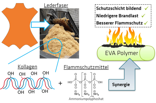 Grafik: Die in Lederfaser enthaltenen Proteine wie Kollagen sind Synergisten für konventionelle Flammschutzmittel in Polymeren wie Ethylenvinylacetat  Grafik: Die in Lederfaser enthaltenen Proteine wie Kollagen sind Synergisten für konventionelle Flammschutzmittel in Polymeren wie Ethylenvinylacetat