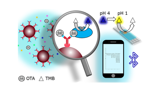 Abbildung: Immunoassay für Ochratoxin Abbildung: Immunoassay für Ochratoxin
