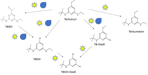 Grafik zur chemische Struktur: UV-Strahlung und Wasser bewirken unterschiedliche Muster von Transformationsprodukten.  Grafik zur chemische Struktur: UV-Strahlung und Wasser bewirken unterschiedliche Muster von Transformationsprodukten.