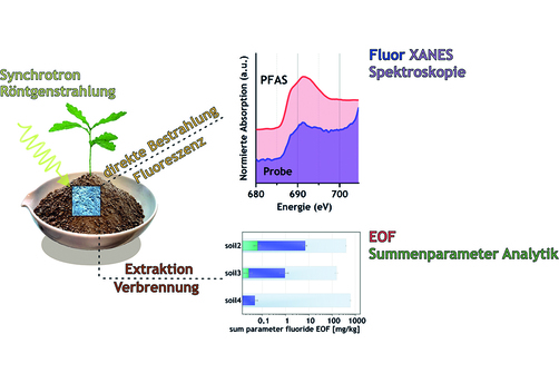 Grafik: Nachweis von PFAS in Umweltproben über zerstörungsfreie Analytik mittels F-XANES Spektroskopie oder Flüssigextraktion und EOF Summenparameteranalytik Grafik: Nachweis von PFAS in Umweltproben über zerstörungsfreie Analytik mittels F-XANES Spektroskopie oder Flüssigextraktion und EOF Summenparameteranalytik