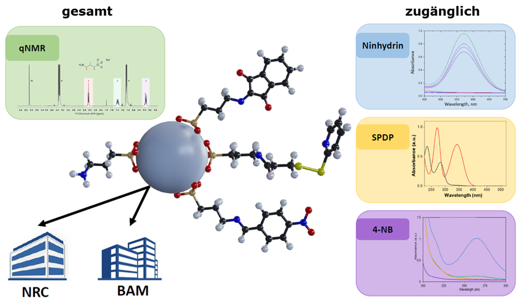 Grafischer Überblick über eingesetzte Quantifizierungsmethoden und zugehörige Reportermoleküle Grafischer Überblick über eingesetzte Quantifizierungsmethoden und zugehörige Reportermoleküle