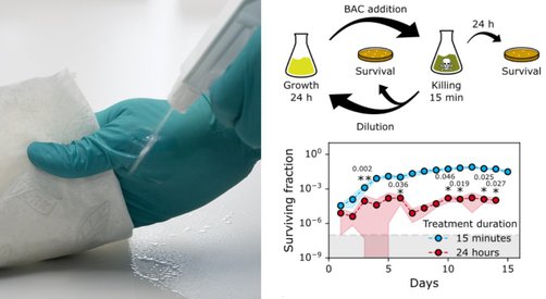 Links: Oberflächendesinfektion. Grafik: 1000fache Erhöhung von überlebenden Zellen als Anpassung an wiederholt unvollständige Desinfektion Links: Oberflächendesinfektion. Grafik: 1000fache Erhöhung von überlebenden Zellen als Anpassung an wiederholt unvollständige Desinfektion