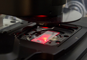Visualisierung des Biofilm pH-Werts mit einem Mikroskop