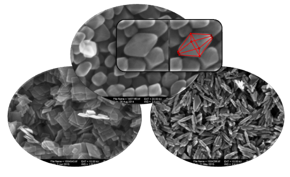 Rasterelektronenmikroskopische Aufnahmen von Nanopartikeln Rasterelektronenmikroskopische Aufnahmen von Nanopartikeln