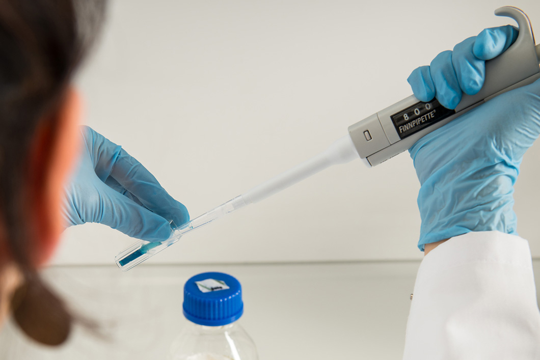 Die Vorbereitung einer Aktivitätsmessung des Enzyms: Die blaue Färbung der Lösung ist bereits klar zu erkennen. Die Vorbereitung einer Aktivitätsmessung des Enzyms: Die blaue Färbung der Lösung ist bereits klar zu erkennen.