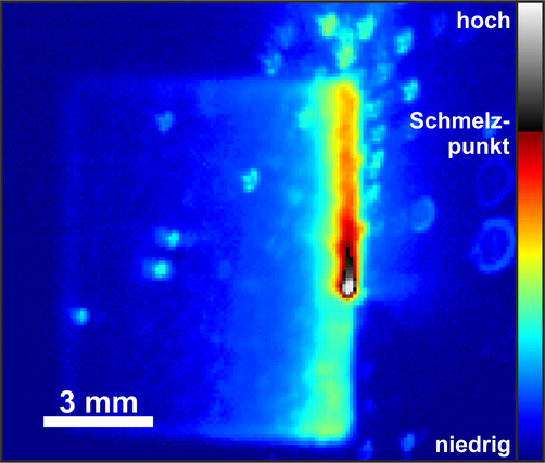 Thermogramm