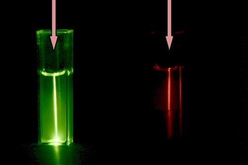 Aufkonvertierungs-Lumineszenz: Eine Suspension der Nanopartikel wandelt unsichtbares NIR-Licht in sichtbares grünes und rotes Licht um. Aufkonvertierungs-Lumineszenz: Eine Suspension der Nanopartikel wandelt unsichtbares NIR-Licht in sichtbares grünes und rotes Licht um.