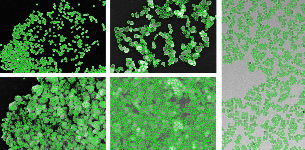 Nanopartikel aus Gold, Titandioxid, Bariumsulfat, Siliziumdioxid und Eisenoxid, die mit verschiedenen Techniken (SEM, eSEM, TEM) abgebildet wurden Nanopartikel aus Gold, Titandioxid, Bariumsulfat, Siliziumdioxid und Eisenoxid, die mit verschiedenen Techniken (SEM, eSEM, TEM) abgebildet wurden
