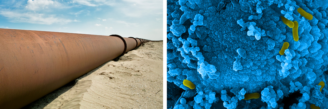 Ölpipeline und Mikroben Ölpipeline und Mikroben