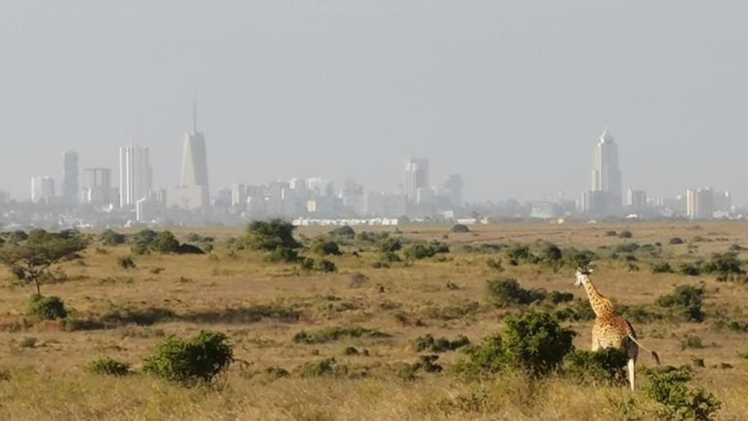 African landscape African landscape