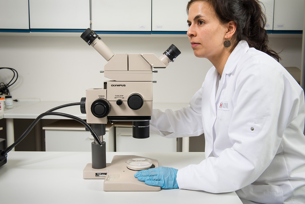 Persevering. Martina Matzke has worked for more than two years to track specific laccase suppliers. Persevering. Martina Matzke has worked for more than two years to track specific laccase suppliers.