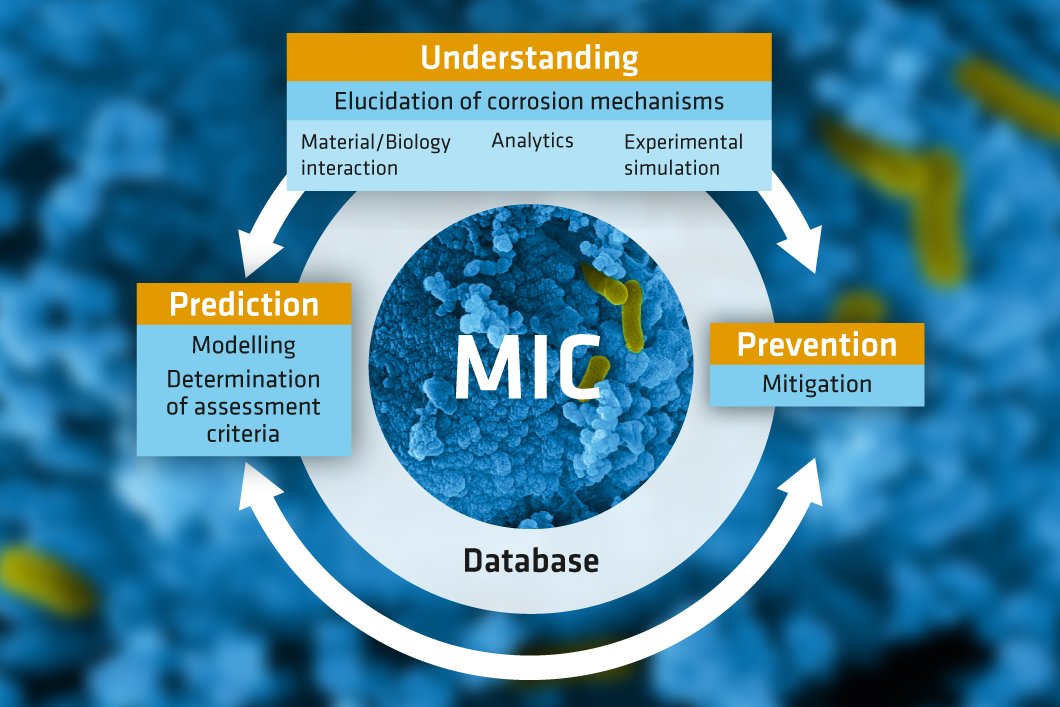 Graphic: Our focus in the area of biocorrosion Graphic: Our focus in the area of biocorrosion