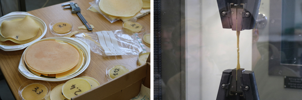 Stressed to break: the samples were clamped in BAM’s test devices and tension-induced deformation was measured. Stressed to break: the samples were clamped in BAM’s test devices and tension-induced deformation was measured.