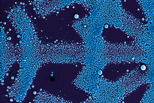 Microstructure of olydopamin Microstructure of olydopamin