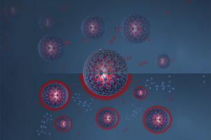 Protection at the Nanoscale: Silica particles shield luminescent molecules from oxygen – their luminosity lasts longer. Protection at the Nanoscale: Silica particles shield luminescent molecules from oxygen – their luminosity lasts longer.
