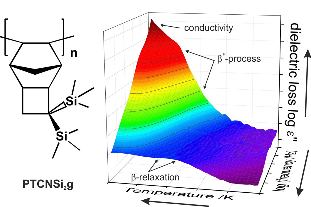 Chemical structure and dielectric relaxation spectrum of the polynorbonene PTCNSi2g