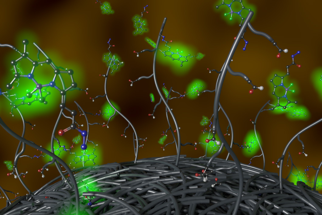 Binding of fluorescent reporters to the surface of aldehyde-functionalized microparticles Binding of fluorescent reporters to the surface of aldehyde-functionalized microparticles