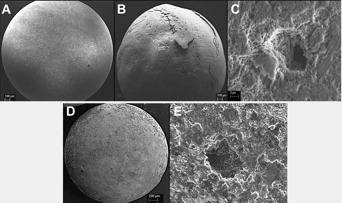 Microbiologically induced corrosion of carbon steel beads (B-E) compared to control beads without corrosion (A). Microbiologically induced corrosion of carbon steel beads (B-E) compared to control beads without corrosion (A).