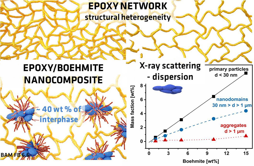 Structural heterogeneity of epoxy-based nanocomposites and mass fractions of the interphase and individual Boehmite dispersion components