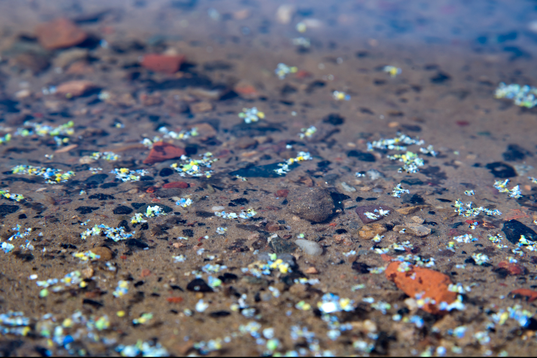 Microplastics in the water Microplastics in the water