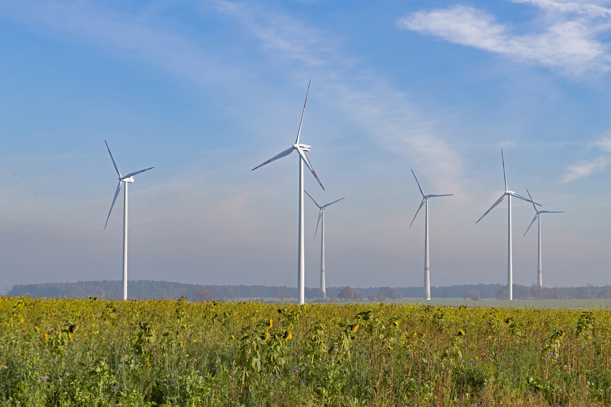Wind turbines on a meadow. Wind turbines on a meadow.