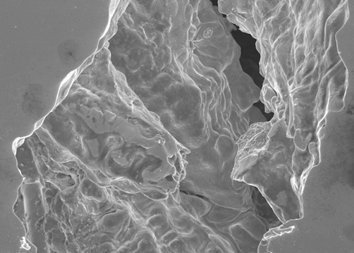 SEM image of a solidification crack in a high-strength weld metal
