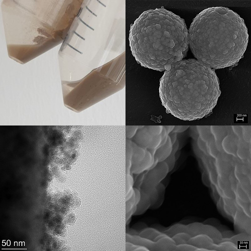 Polymeric core particles Polymeric core particles