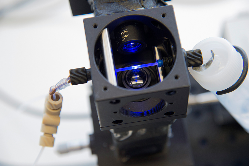 Modular 3D-opto-microfluidic setup