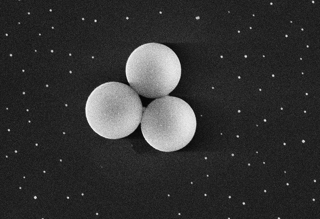 Nanoparticles surround three 1 µm particles.