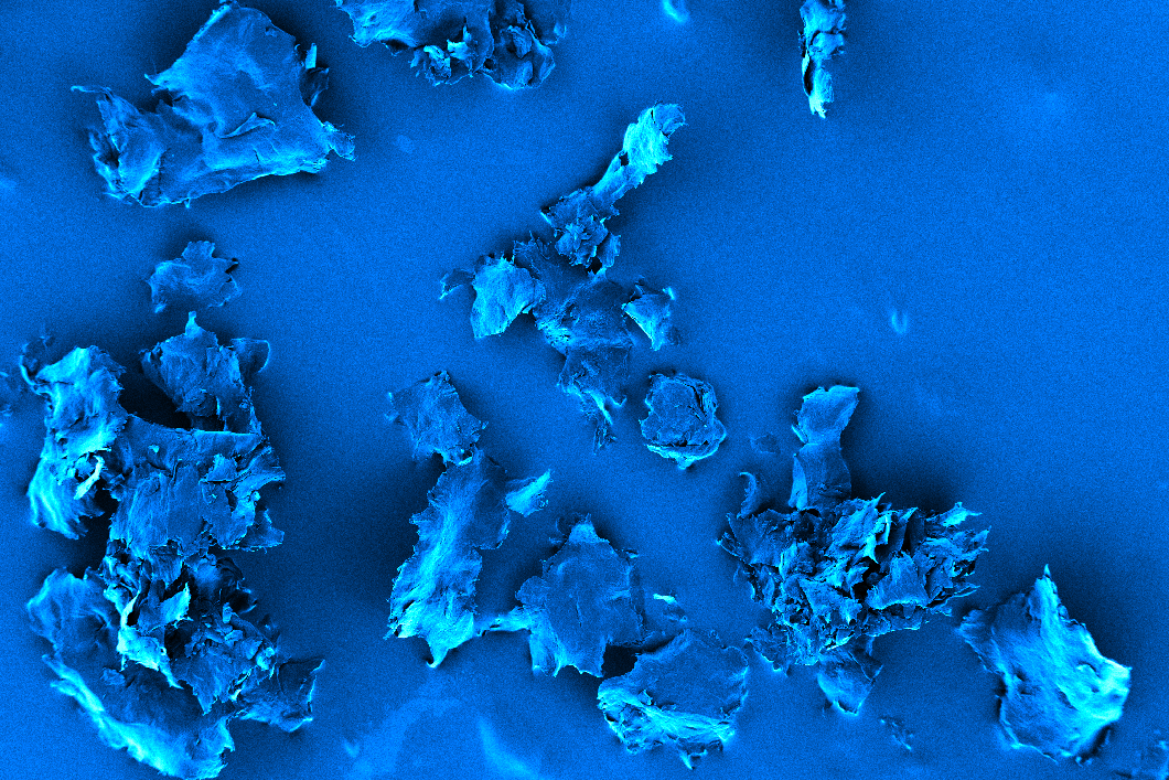 Nanoplastics under the scanning electron microscope