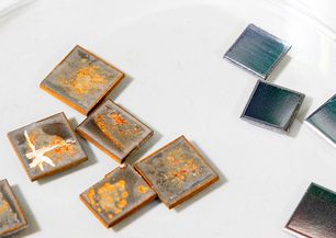 Metal samples were exposed to a medium containing microbes. The samples exposed to the medium show clear traces of corrosion.  Metal samples were exposed to a medium containing microbes. The samples exposed to the medium show clear traces of corrosion.