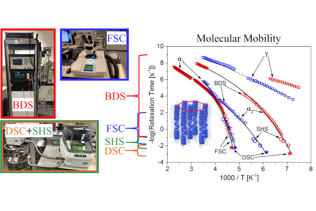 Paper des Monats 2/2020: TF Material Molekulare Dynamik eines diskotischen Flüssigkristalls und benutzte experimentelle Methoden
