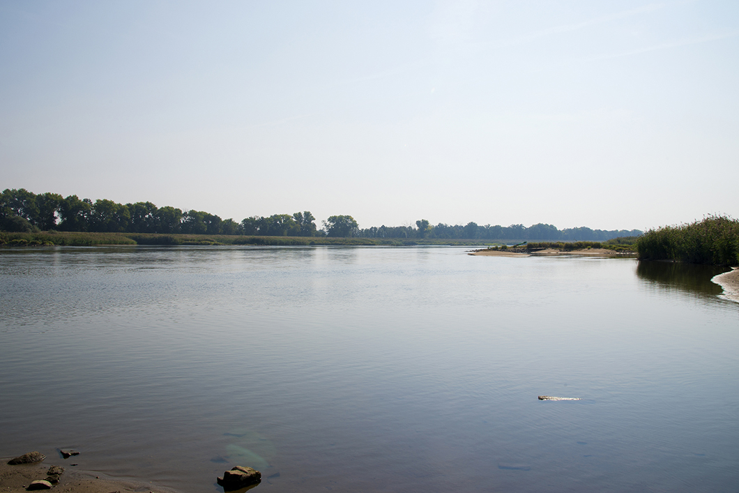 Paper des Monats 08/2023: TF Umwelt Die Oder, Blick Richtung Polen