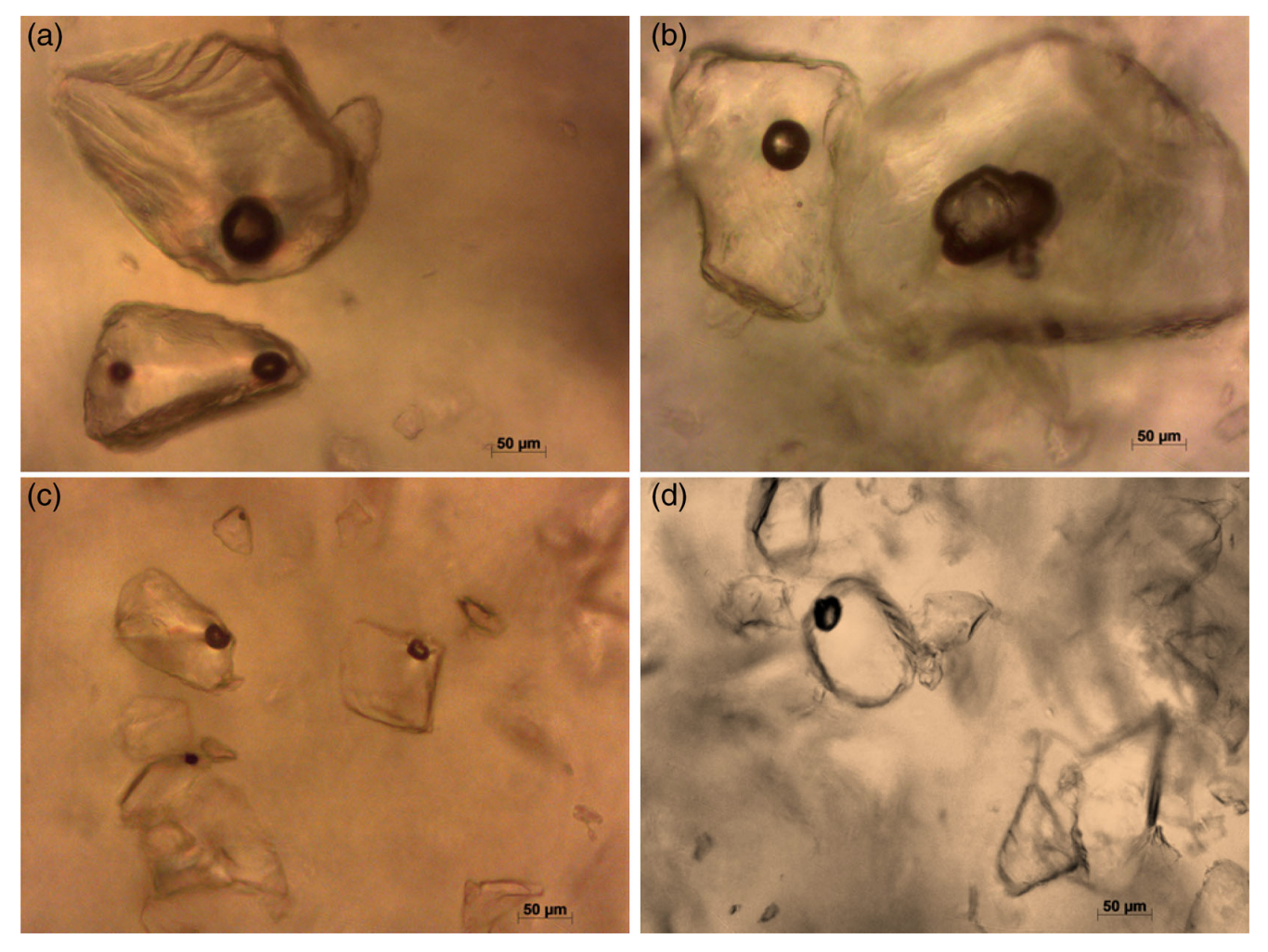 Paper des Monats 08/2024: TF Material Durch thermische Behandlung kann in Epoxidharz, dem Acrylsäureethylester-Partikel zugegeben wurden, nach einer Schädigung ein Selbstheilungsmechanismus ausgelöst werden.