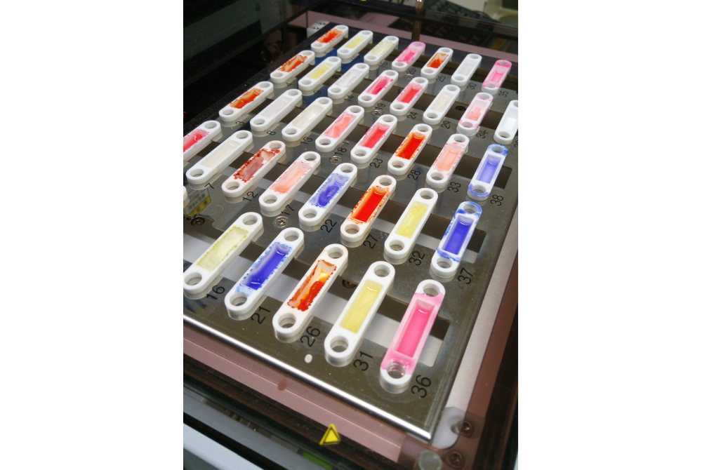 Paper des Monats 11/2024: TF Umwelt Extrakte von verschiedenen Textilien im Probennehmer der Verbrennungsionenchromatographie