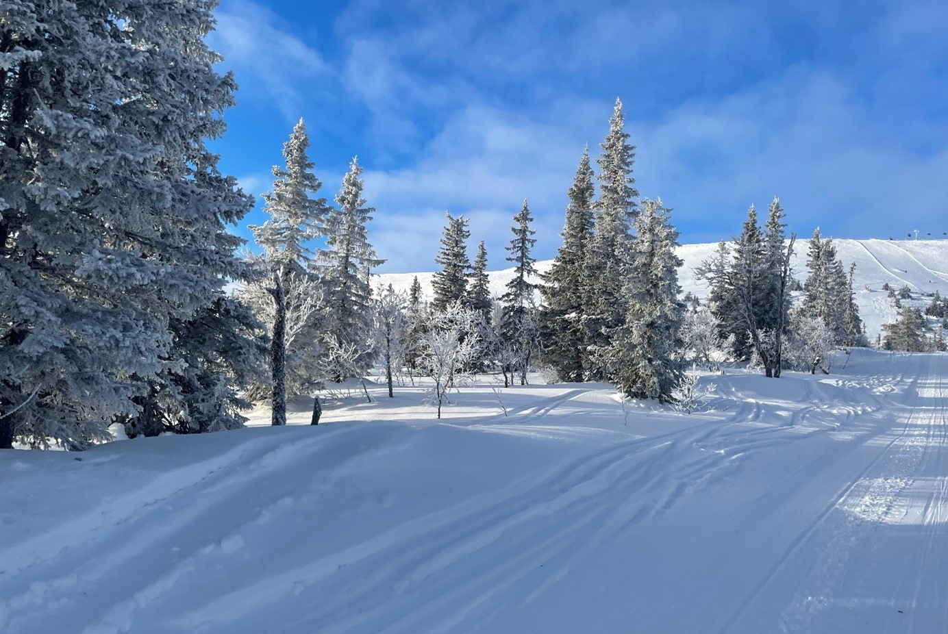 Paper des Monats 02/2025: TF Umwelt Skispuren im Schnee eines Skigebiets
