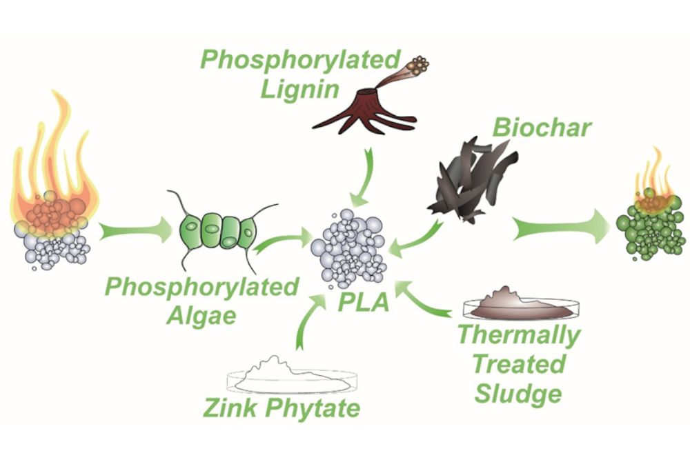 Paper des Monats 07/2025: TF Infrastruktur Nachwachsende phosphorhaltige Abfallprodukte als Hilfsstoffe zum Flammschutz von Polylactid (inklusive Rückführung des kritischen Rohstoffes Phosphor aus unserem Abwasser.