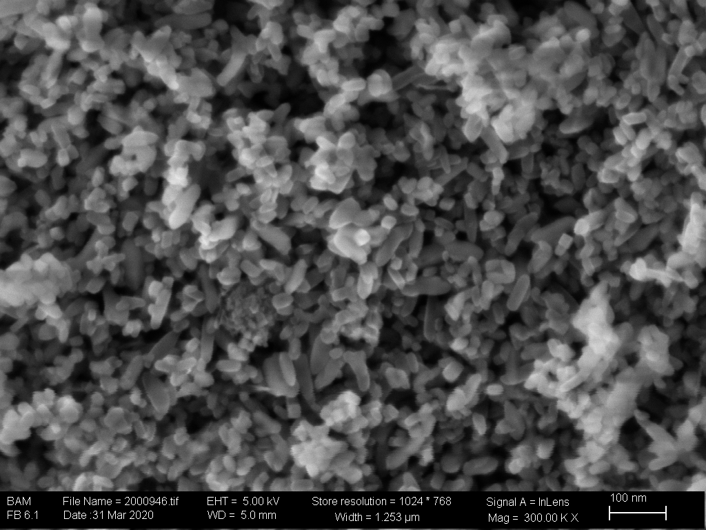 SEM image of Al2O3-coated TiO2 nanoparticles SEM image