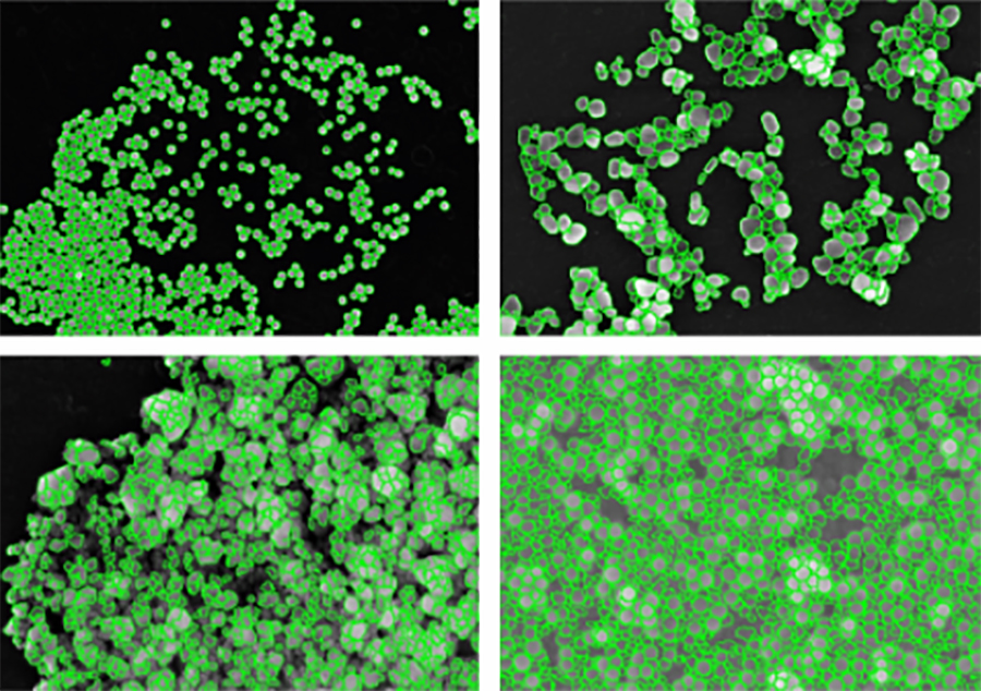 Particles from different materials Particles from different materials