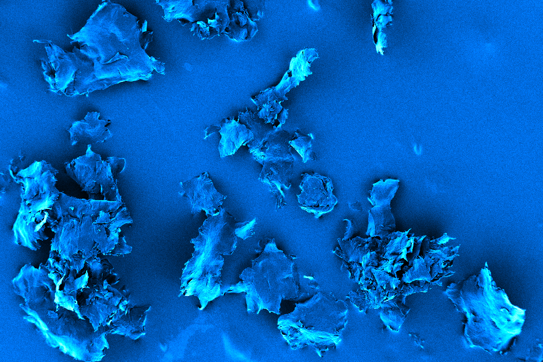 Forschung für den sicheren Einsatz von Nanomaterialien Nano-Plastikpartikel in hunderttausendfacher Vergrößerung unter dem Rasterelektronenmikroskop
